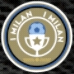 DipoLionSoker-DLS22-Tim-Logo-IMilan