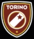 DipoLionSoker-DLS22-Tim-Logo-Torino