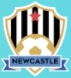 DipoLionSoker-DLS23-Tim-Logo-Newcastle